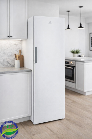 Морозильная камера Indesit DFZ 5175 S