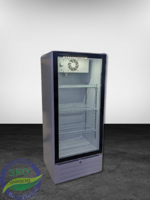 Витринный холодильник CHANGER SC 170B