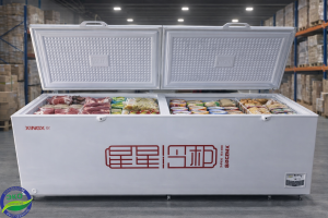 Морозильник XINX BD/BC 1088G Морозильник XINX BD/BC 1088G