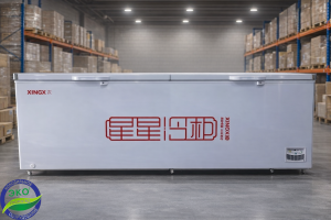 Морозильник XINX BD/BC 1088G Морозильник XINX BD/BC 1088G