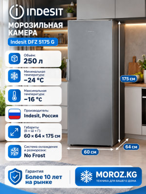 Морозильная камера Indesit DFZ 5175 G