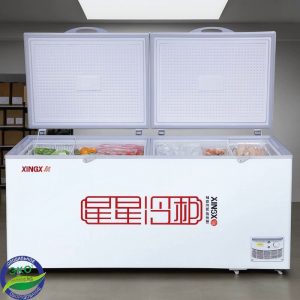 Морозильник XINX BD/BC 850G Морозильник XINX BD/BC 850G