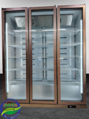 Холодильник AVEST LC S3 1610 GOLD Холодильник AVEST LC S3 1610 GOLD