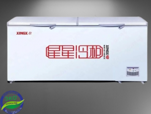 Морозильник XINX BD/BC 850G