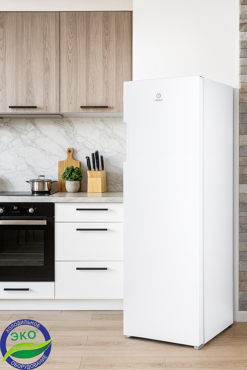 Морозильник Indesit DSZ 4150 W Морозильник Indesit DSZ 4150 W