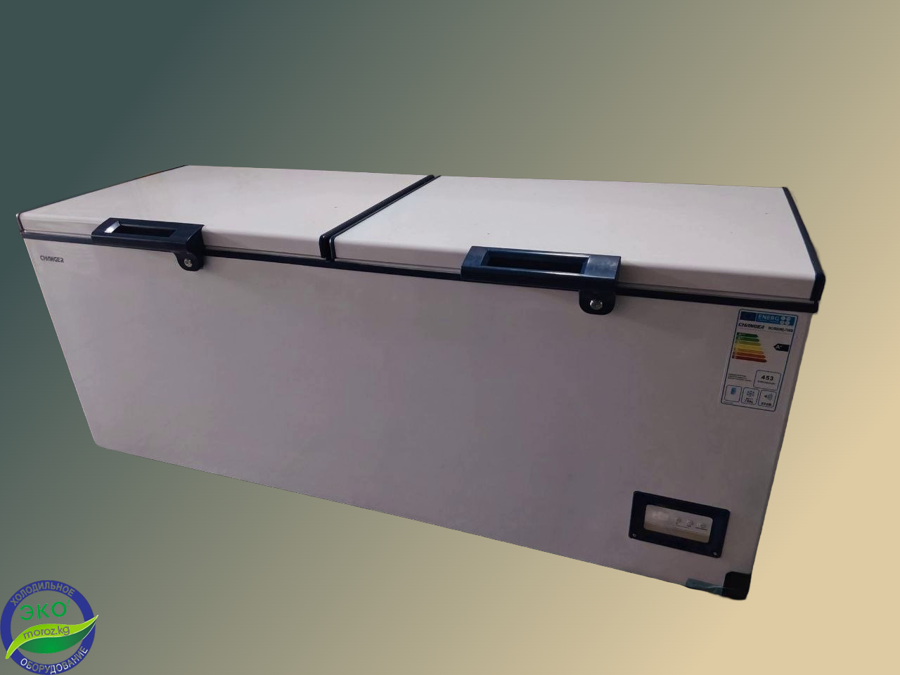 Морозильный ларь Changer BC/BD 600 Морозильный ларь Changer BC/BD 600