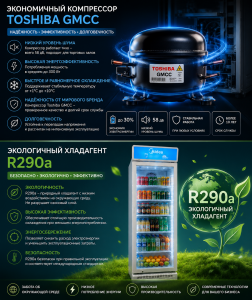 Экономичный компрессор Toshiba GMCC и экологичный хладагент R290a