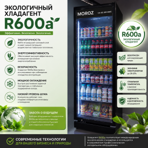 R600a