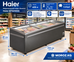Морозильный ларь-бонета Haier GTS2100G